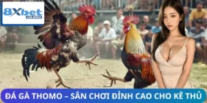 da ga thomo