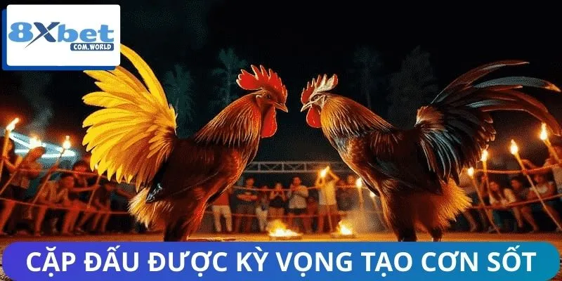 Trận Đấu Đáng Chú Ý Tuần Này – Lịch Thi Đấu Nóng Tại 8XBET 2 Mãn nhãn với những cặp đấu danh giá