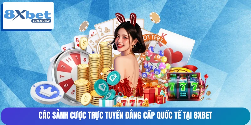 Các sảnh cược trực tuyến đẳng cấp quốc tế tại 8XBET Các sảnh cược trực tuyến đẳng cấp quốc tế tại 8XBET